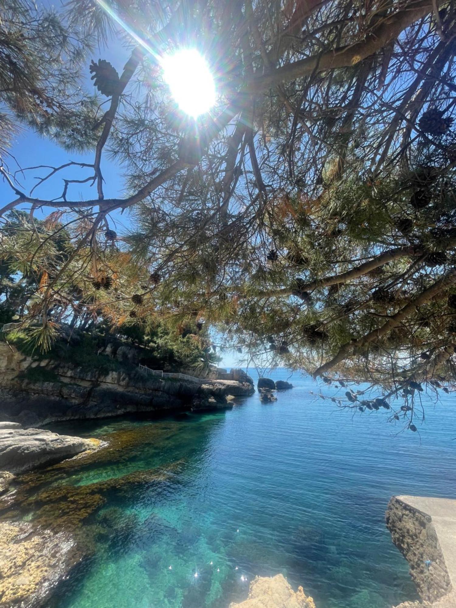 Corpus A - Hotel Albatros Ulcinj Esterno foto